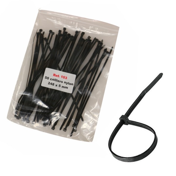 Lot de 100 colliers en nylon de type Colson - Rizlan